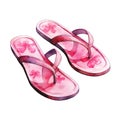 Pair of pink flip flops isolated on white background. Royalty Free Stock Photo